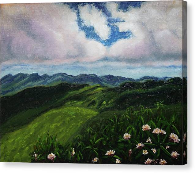 Emerald Mountains - Canvas Print