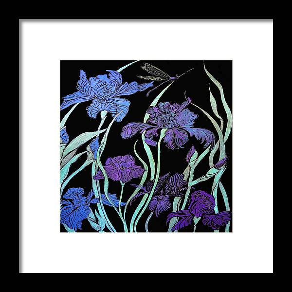 Night Irises - Framed Print