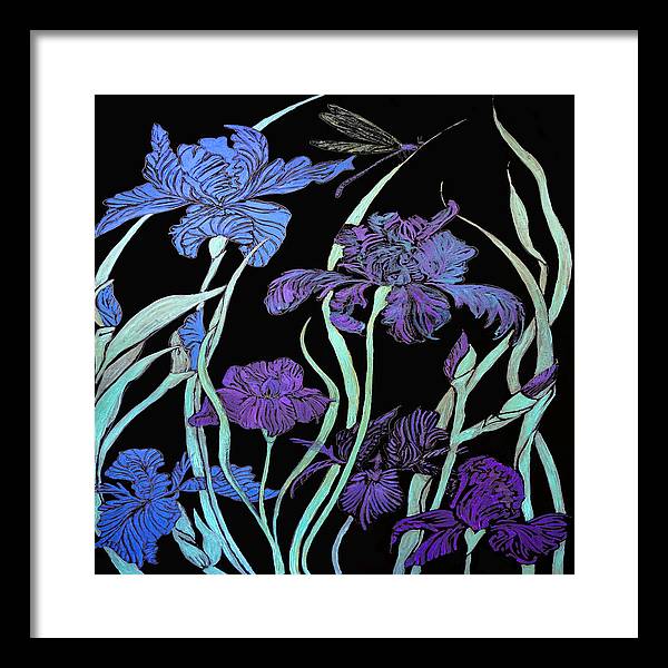 Night Irises - Framed Print