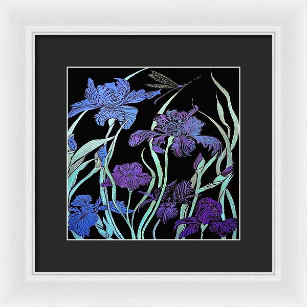 Night Irises - Framed Print