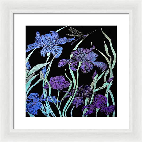 Night Irises - Framed Print