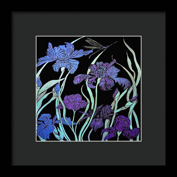 Night Irises - Framed Print