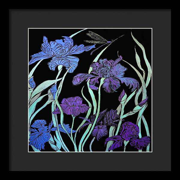 Night Irises - Framed Print