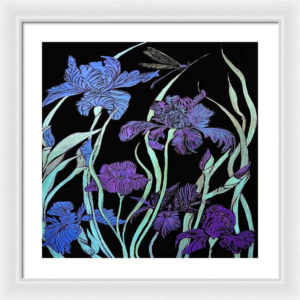 Night Irises - Framed Print
