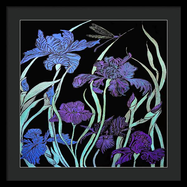 Night Irises - Framed Print