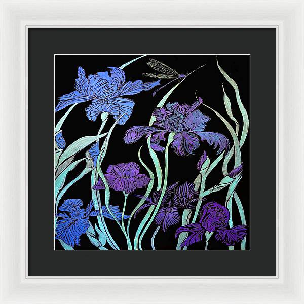 Night Irises - Framed Print