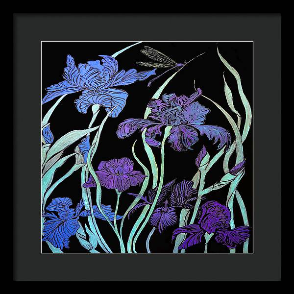 Night Irises - Framed Print