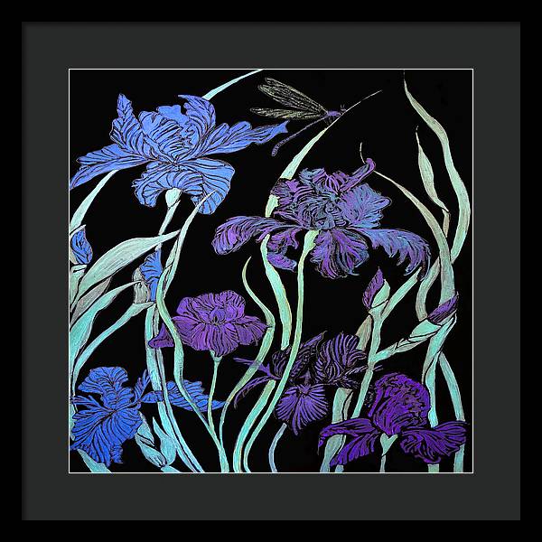 Night Irises - Framed Print