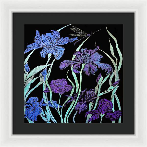 Night Irises - Framed Print