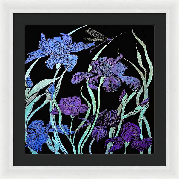 Night Irises - Framed Print