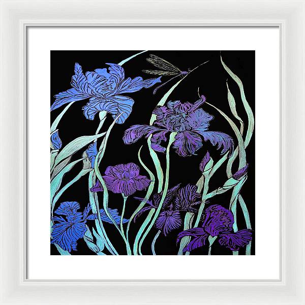 Night Irises - Framed Print
