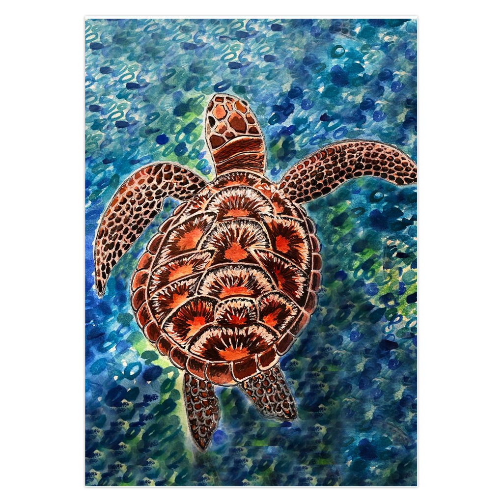 Greeting cards-Sea Turtle