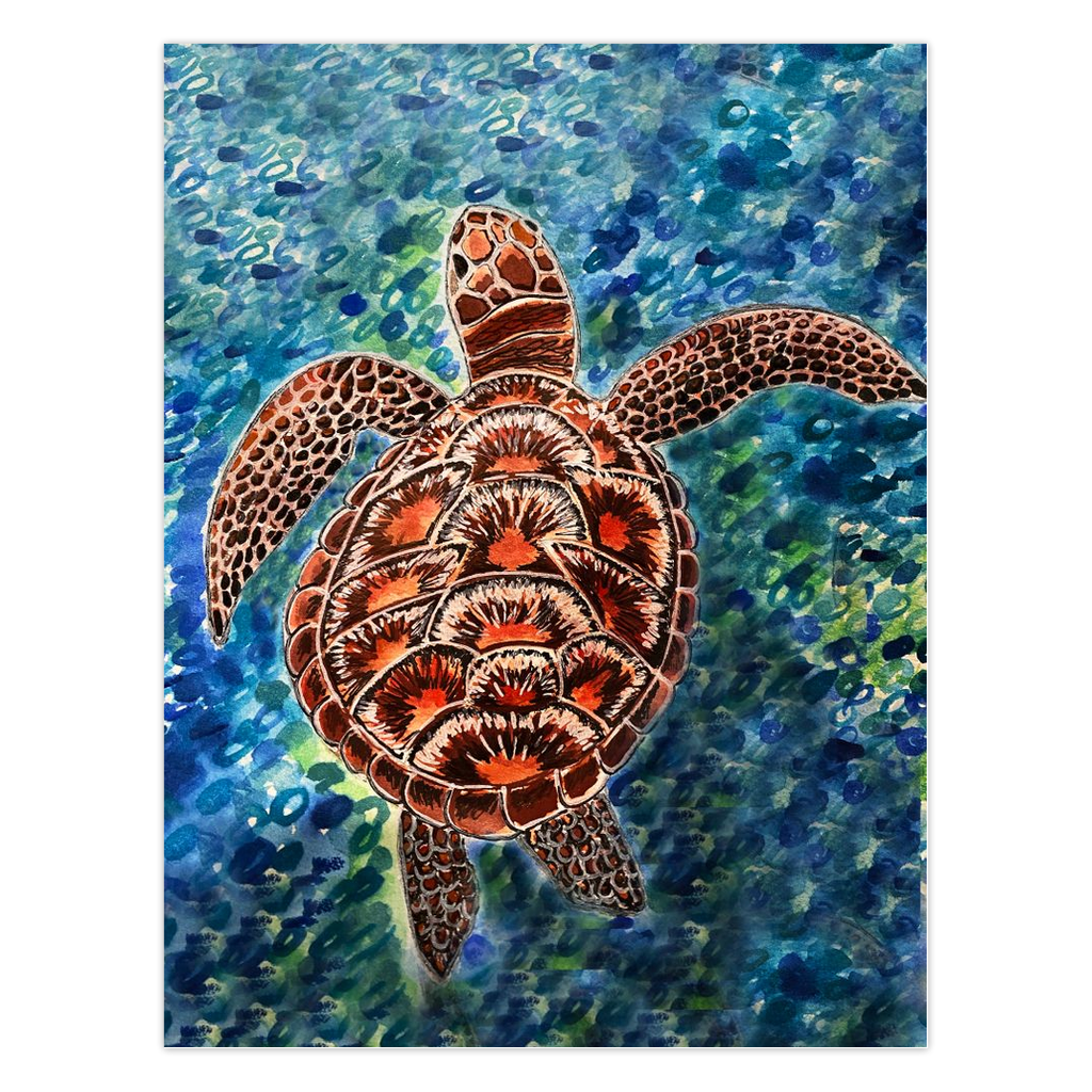 Greeting cards-Sea Turtle