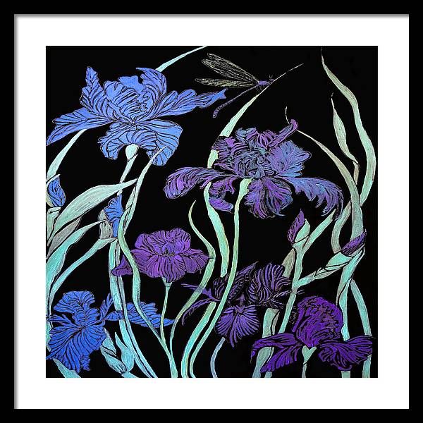 Night Irises - Framed Print